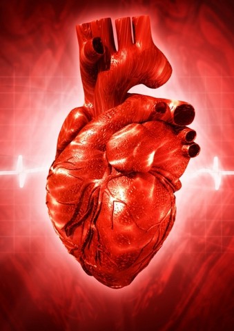 Check Up Cardiológico para Palpitação Jandira - Check Up Cardiológico