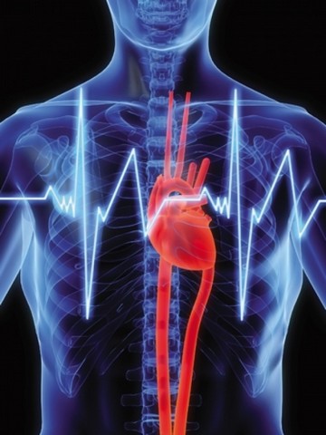 Check Up Cardiológico Preço Itupeva - Check Up Cardiológico para Palpitação
