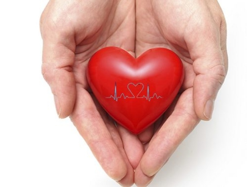 Check Up Cardiológicos ABC - Check Up Cardiológico e Avaliação Médica
