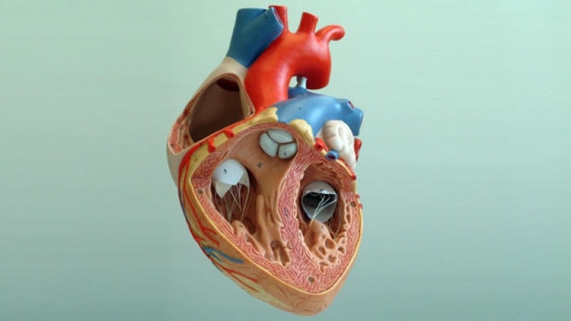 Clínica de Cardiologia para Tratar Doenças Cardíacas Marília - Clínica Particular de Cardiologia