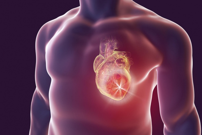 Clínica de Cardiologista Embu das Artes - Clínica de Cardiologia para Tratar Angina