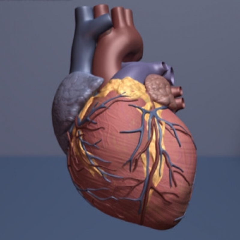 Clínica de Check Up Cardiológico para Homens ABC - Check Up Cardio Pulmonar