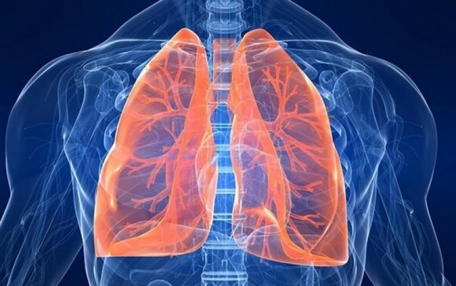 Clínica de Pneumologista para Tosse Seca Caieiras - Clínica de Pneumologia para Tratar Bronquite