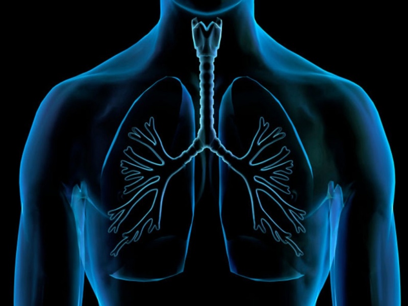 Clínica Particular ao Pneumologista Itu - Clínica de Pneumologia para Tratar Embolia Pulmonar