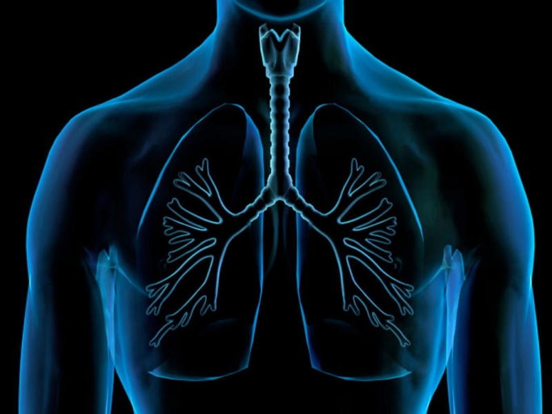 Clínica Particular ao Pneumologista Caieiras - Clínica de Pneumologia para Bronquite