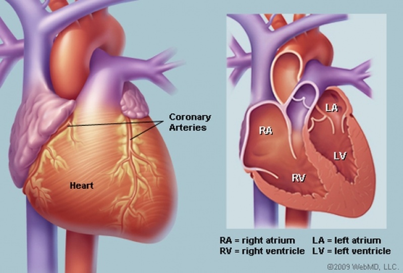 Consulta ao Cardiologia para Infarto Agudo do Miocárdio Guararema - Consulta ao Cardiologia para Doenças Coronárias
