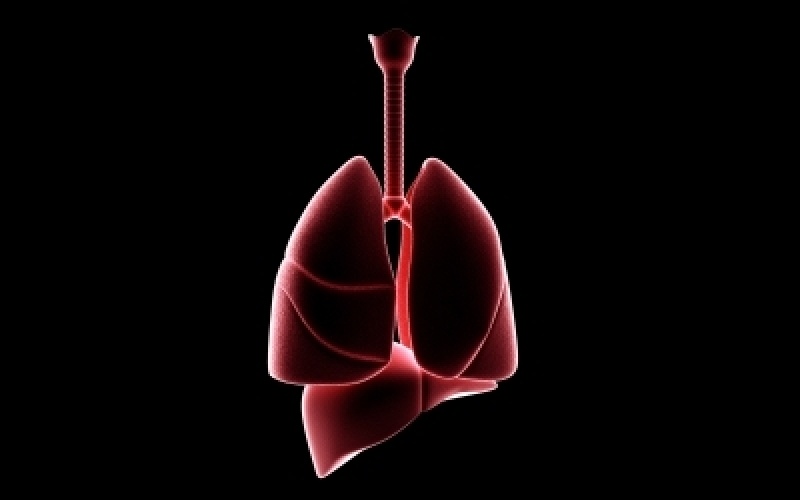 Consulta com Pneumologista Taboão da Serra - Consulta ao Pneumologista para Tosse Seca