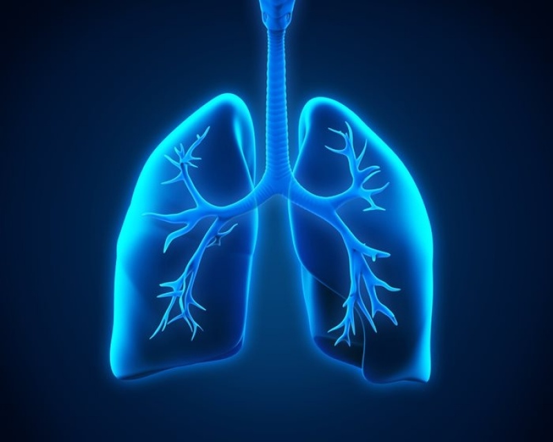 Consulta Pneumologista para Tratar Apneia Franca - Consulta ao Pneumologista para Pneumonia