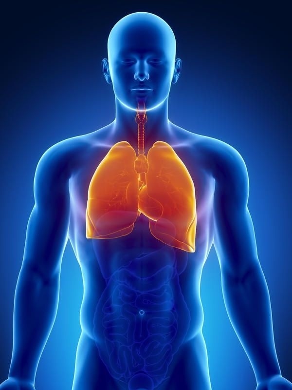 Onde Encontrar Clínica de Pneumologia para Bronquite Campinas - Clínica de Pneumologia para Tratar Embolia Pulmonar