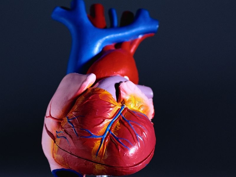 Onde Encontro Clínica de Cardiologia para Tratar Miocardiopatia Votuporanga - Clínica de Cardiologia para Tratar Miocardites