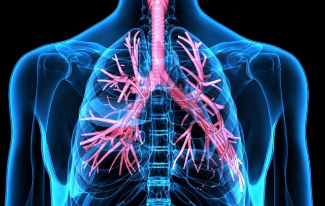 Onde Encontro Clínica de Pneumologia para Asma Marapoama - Clínica de Pneumologia para Tratar Embolia Pulmonar