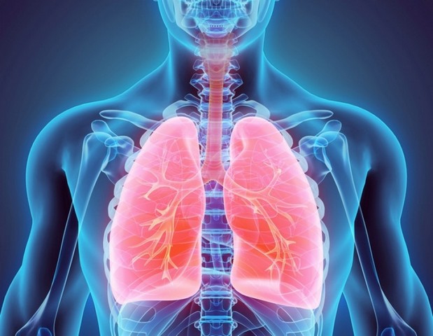 Onde Encontro Clínica de Pneumologia Particular Mauá - Clínica de Pneumologia para Bronquite Asmática