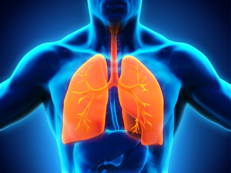 Onde Encontro Clínica Particular ao Pneumologista Itatiba - Clínica de Pneumologia para Bronquite Asmática