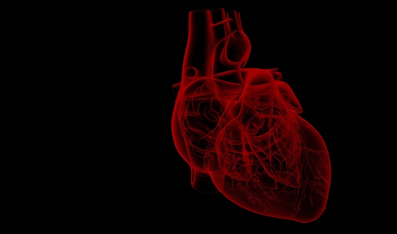 Onde Encontro Consulta ao Cardiologia para Tratamento de Arritmias Mendonça - Consulta ao Cardiologia para Angina