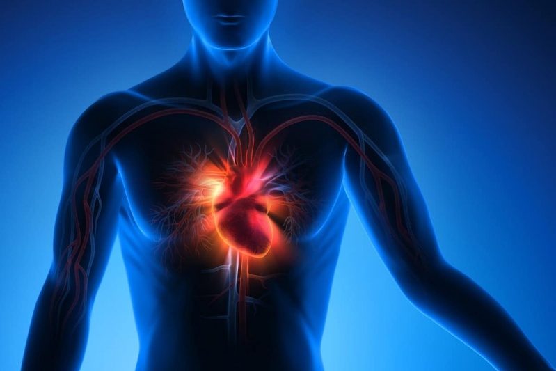 Onde Encontro Consulta ao Cardiologia para Tratamento de Infarto Embu das Artes - Consulta ao Cardiologia para Tratamento de Infarto