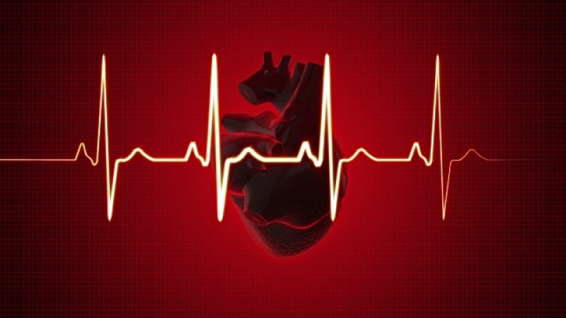 Quanto Custa Check Up Cardiológico Pré Operatório Franca - Check Up Cardiológico para Palpitação
