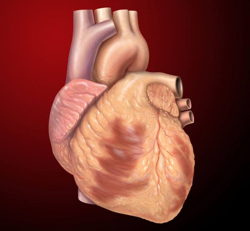 Quanto Custa Consulta ao Cardiologia para Angina Jacareí - Consulta ao Cardiologista para Check Up