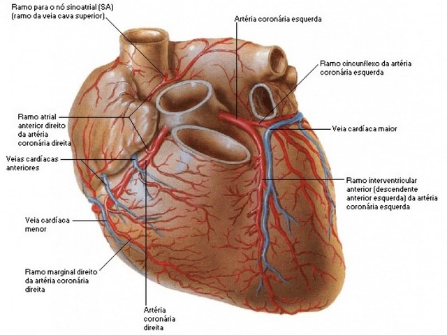 Quanto Custa Consulta ao Cardiologia para Insuficiência Cardíaca Cajamar - Consulta ao Cardiologia para Doenças Coronárias