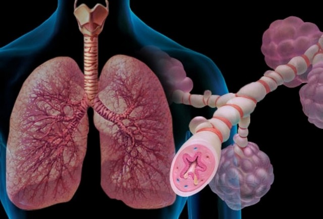 Quanto Custa Consulta Particular ao Pneumologista Mogi das Cruzes - Consulta ao Pneumologista para Tosse Seca