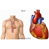 consulta com cardiologista Caierias