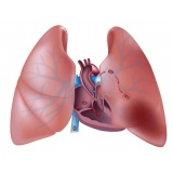 Pneumologista Especialista em Embolia Pulmonar