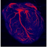 onde encontrar clínica de cardiologista Franca