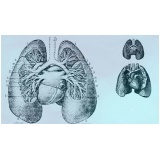 onde encontrar pneumologista para parar de fumar Embu