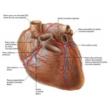 quanto custa consulta ao cardiologia para insuficiência cardíaca Embu