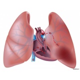 quanto custa consulta pneumologista para tratar embolia pulmonar Taubaté